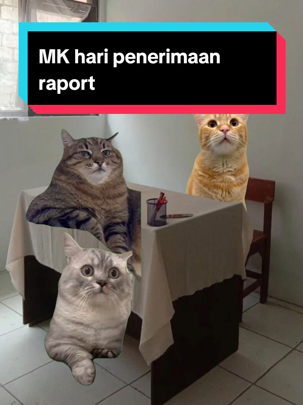 Dapt rangking berapa cuy?🗿 #fyp #meme #meow #kucing #memekucing 