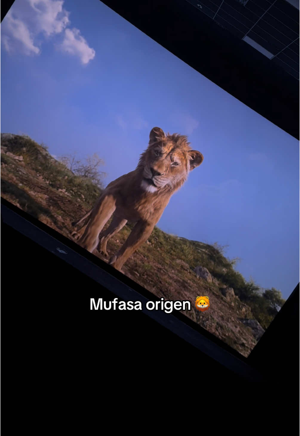 Me gusto el Origien de #mufasa  🎬 #scar #simba #clara #disney 