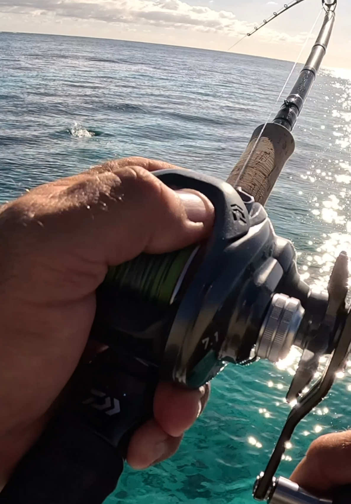 The joy and excitement these fish bring to us is surreal. Incredible fishing in our latest 30 minute YouTube Episode - search for (Will and Mary Outdoors) #fishing #fishtok #fishingtiktok #fishingtiktoks #foryou #fish #greatbarrierreef #daiwaaustralia #australia @Daiwa Australia 