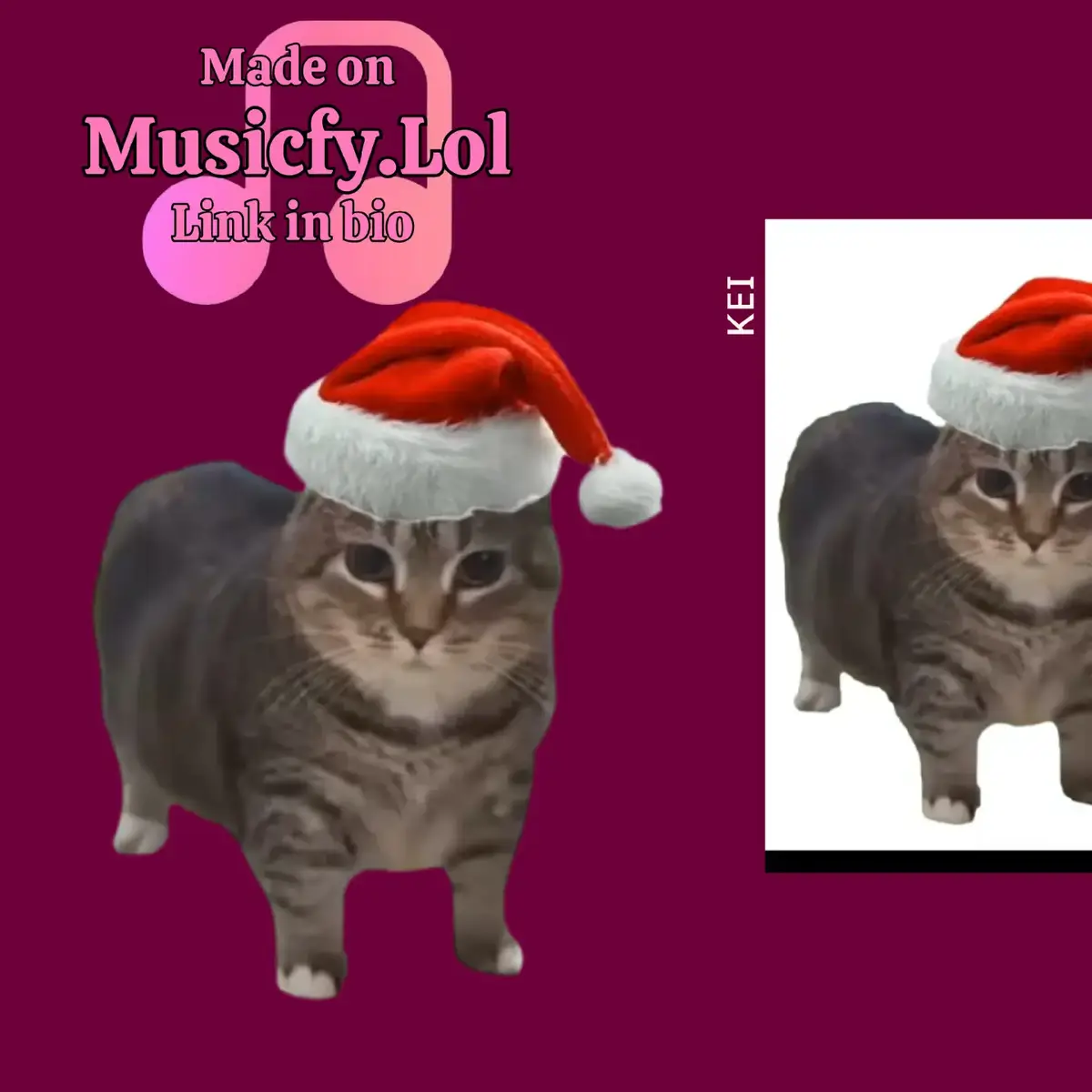 #christmascat #cats #foryou #fyp #fyppppppppppppppppppppppp #music #song 