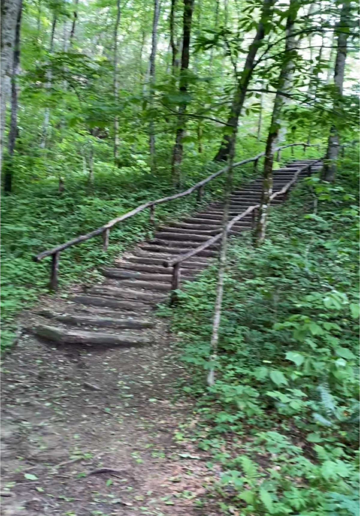 The  trail to High Falls in NC. Looked back on old footage and found these amazing EVPS! #evp #spiritcommunication #paranormalinvestigator #ghost #ghosts #haunted #hauntedtiktok #paranormalvideos #hauntedplaces #spirits #fypage 