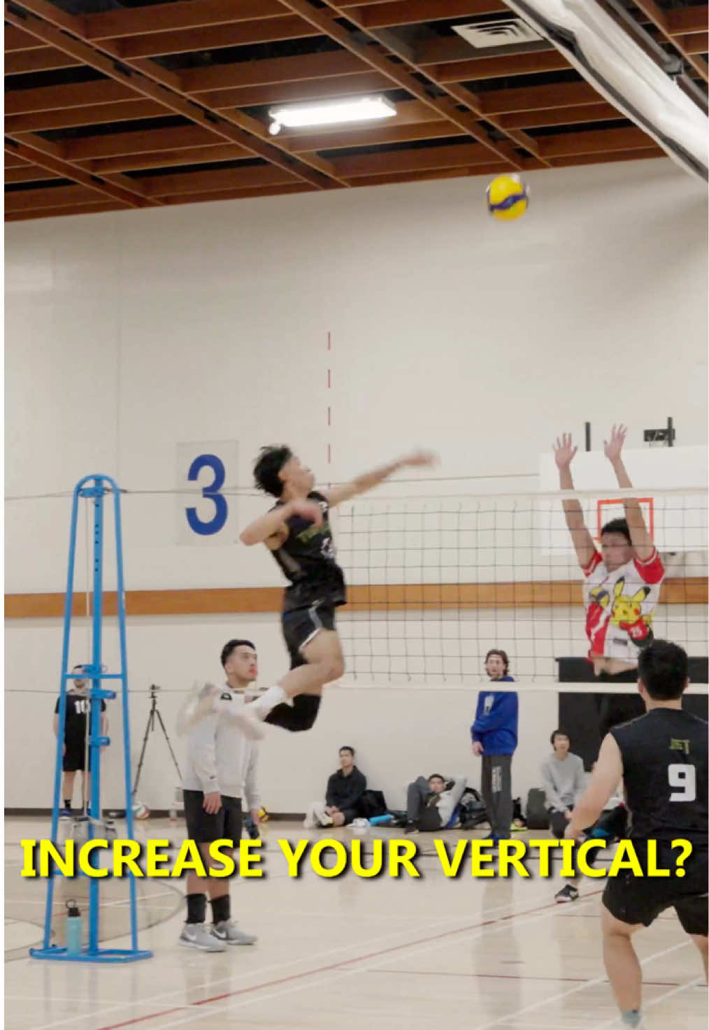 looking to INCREASE YOUR VERTICAL⁉️ follow this workout 💪🏽  Here are a few of the exercises I do to increase my vertical. This is comprised of some light-medium level plyo’s to get you started or ELEVATE YOUR BOUNCE TO NEW HEIGHTS 🔥  Give it a try and let me know what you think 🙂‍↕️ LET’S IMPROVE TOGETHER ✊🏽 #volleyball #micdup #boxjumps #bounce #jumps #workout #exercise #training #volleyballtraining #volleyballplayers #performance #health #bunnies #hops #vertical #verticaljump