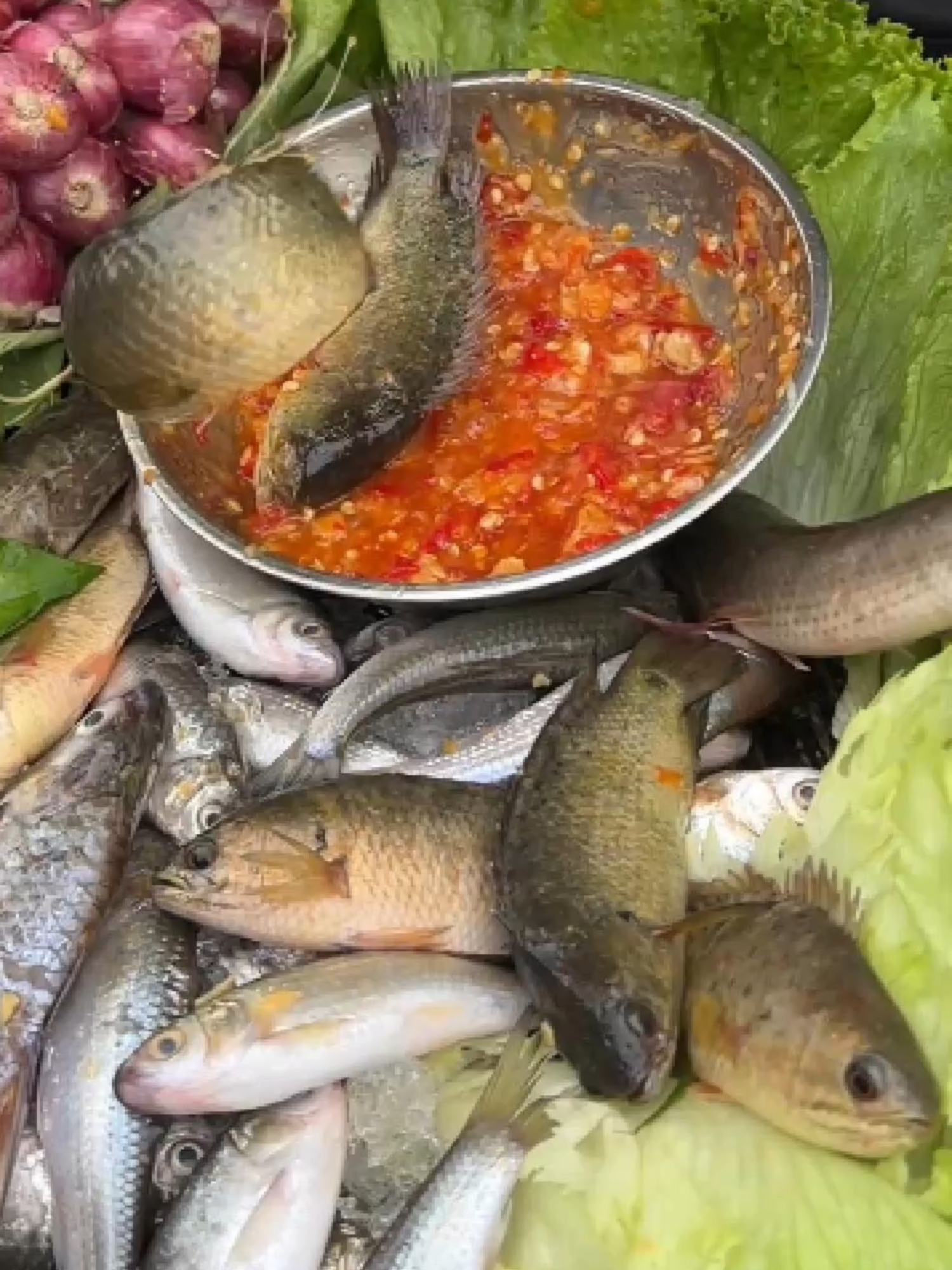 Eating Fresh F.ish with Chilli Sauce on River #eat #food #cook