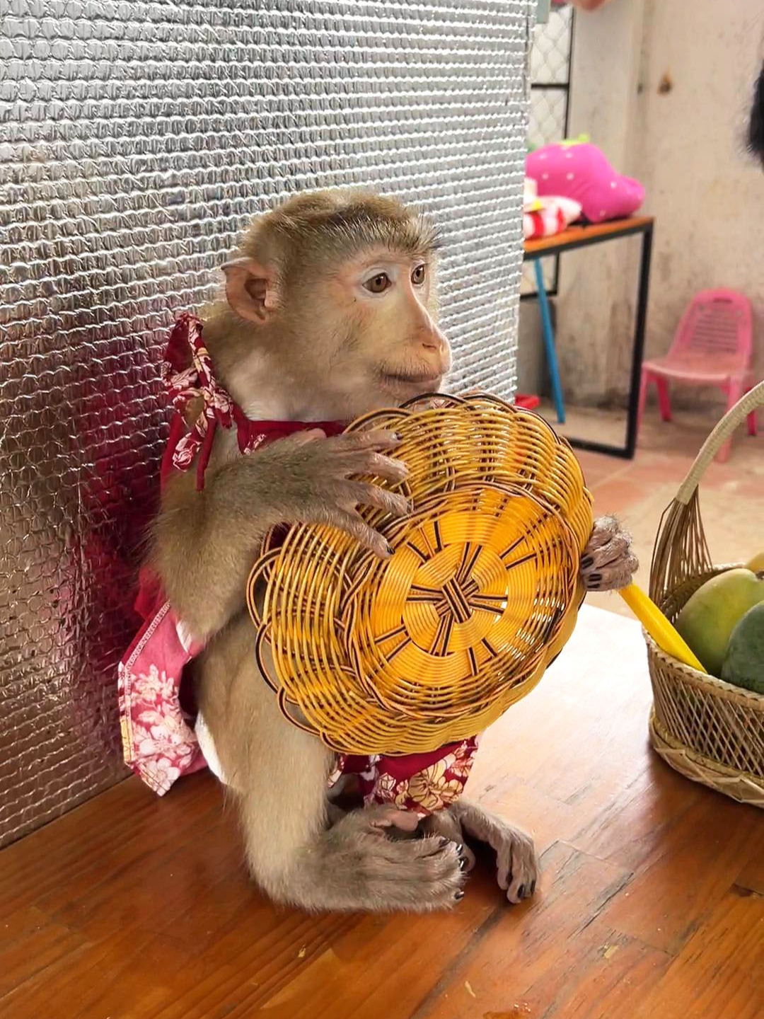 Jaila Sit Holding A Plate & Act Pathetcc To Convince Mom To Prepare Her Breakfast