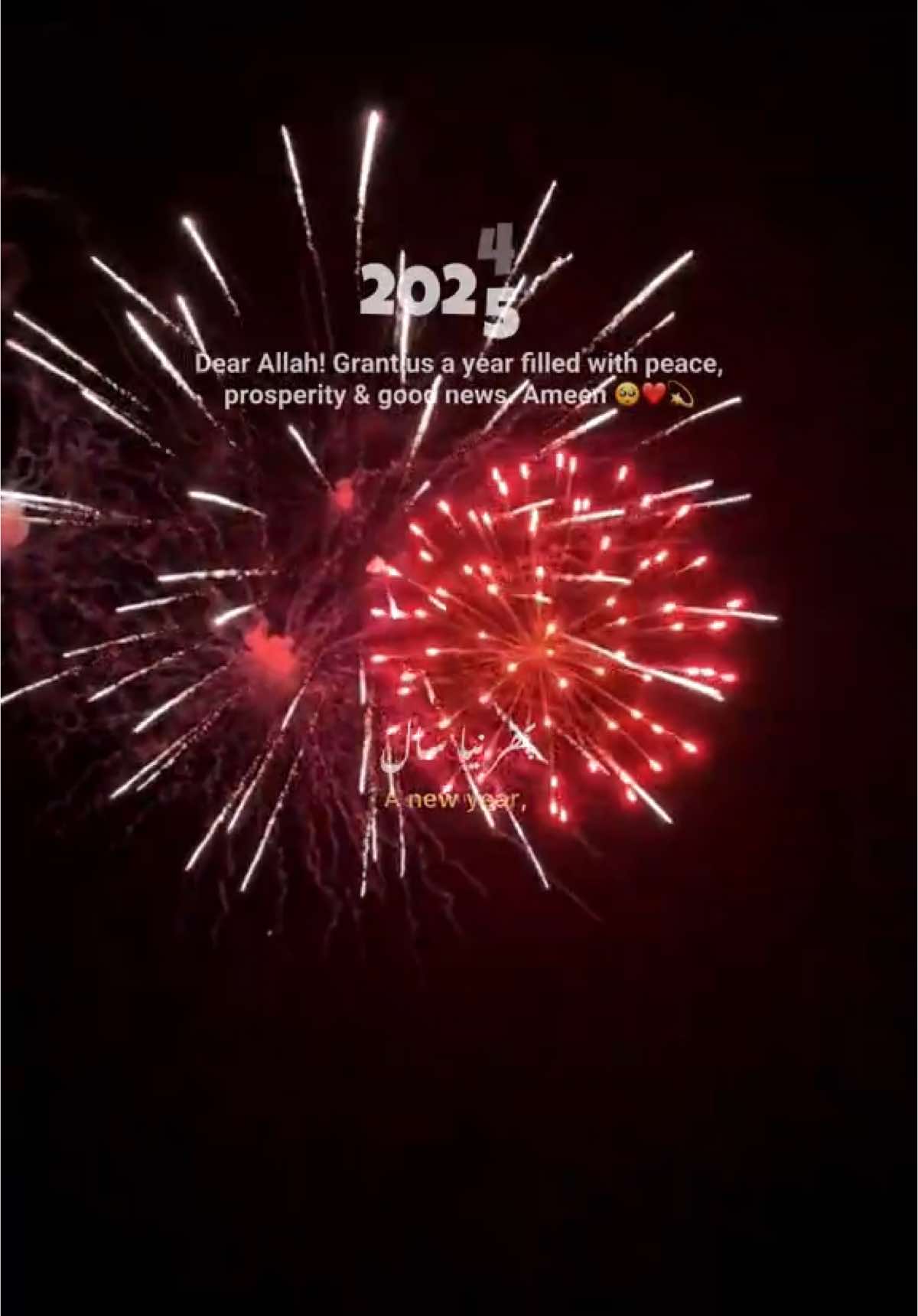 A new year unfolds, like a blank page waiting to be written. A fresh dawn breaks, bringing with it new hopes & dreams😇❤️ As we step into this new chapter, we pray, O Allah! keep the light of good news shining bright in our lives. May this year bring us joy, peace & happiness. May our hearts be filled with love, our minds with clarity & our souls with purpose🥺💫 May we be guided by faith, strengthened by courage & uplifted by hope. As we begin this new journey, we trust in Your plan, O Allah! and we look forward to the blessings & good things that this year 2025 will bring😇💕💫 #aestheticnoor#aestheticnoor_#motivational#uktiktok#foryoupage#fyp#foryou#viral#islamiccontent#aesthetic#trending#caption#uk#aestheticvideos#faith#trust#prayer#Love#couple#spirtual#newyear #2025 #newyear2025 