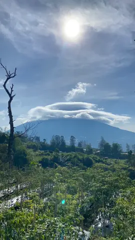 kaman yang naik sunbing hari ini? lebih ngeri daripada sindoro njir topinya☠️ 📍gunung cilik wonosobo #gunungbertopi #gunungsumbing #pendakigunung #ttpetualangpro #fyp 