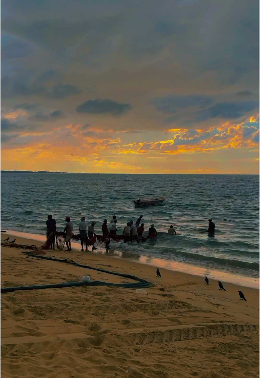 Golden Hour Vibes 🌅✨ | Kalpitiya Beach Life in Sri Lanka #Kalpitiya #SriLanka #BeachVibes #GoldenHour #SunsetMagic #TravelSriLanka #EveningGlow #OceanView #TropicalParadise #SereneSunset #Wanderlust #BeachEvening #NatureLovers #IslandLife #FishingCulture #ScenicBeauty #TravelGoals #ExploreSriLanka #CoastalVibes #diwakaravlogs #viral #fyp #foryou #foryourpage #trending 