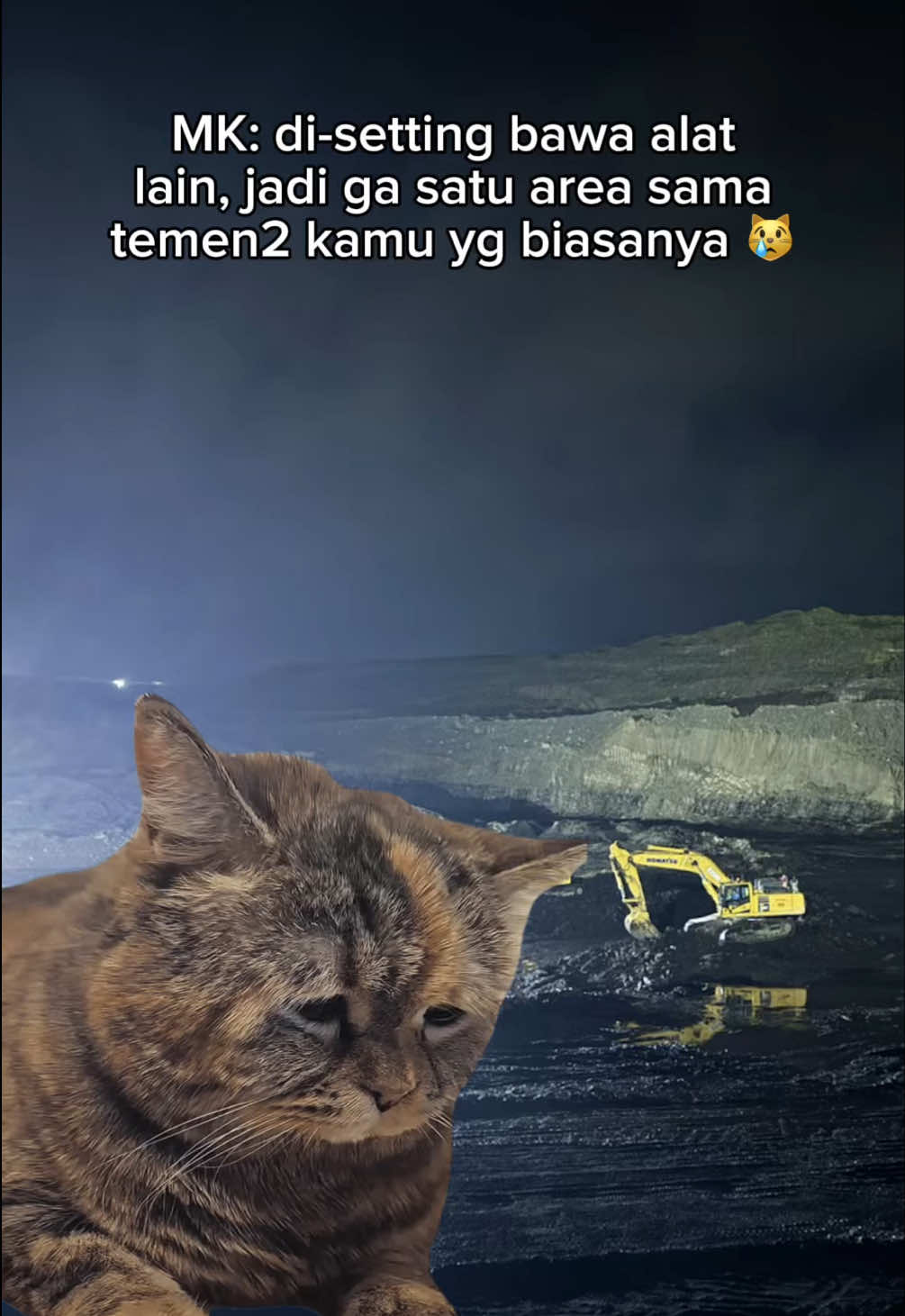 Cuma urusan kerjaan, katanya. Sakit tak berdarah, rasanya. Kadang sampe overthink “apa karena aku kurang bagus ya kerja-nya…” 😿 #storyanaktambang #anaktambang #tambangbatubara #memekucing #memekucing #catmeme #kucing 