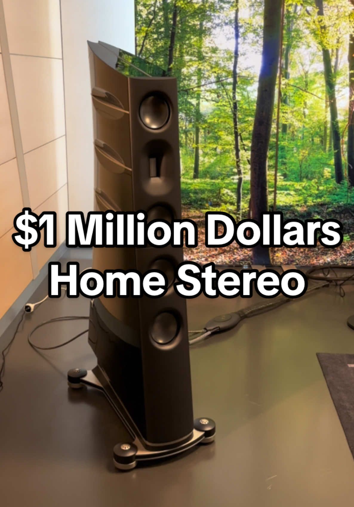 🔥$1 Million Dollars🔥Home Sound System 🔊 Denmark Audio Group ⚙️ Borresen Aavik #audiophile #hiend #Home #luxury #stereo #audio #sound #system #hifi #speakers #music #setup 