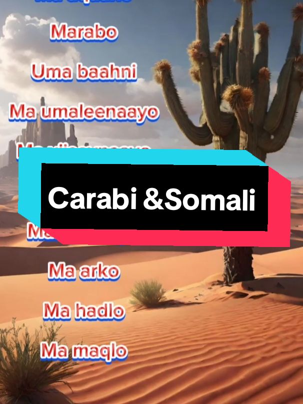 #somali #عربي #somalitiktok  #fyp #