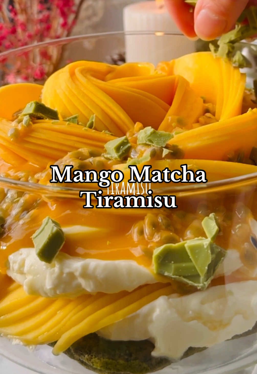 MANGO MATCHA TIRAMISU 🥭 Wat heb je nodig? (6-8 personen) 🌱3 eieren 🌱110 g suiker 🌱500 g mascarpone 🌱3-4 tl ceremonial grade ‘A’ matchapoeder (verkrijgbaar online of bij theespeciaalzaken) 🌱110 ml kokend water 🌱40 ml koud water 🌱1 tl vanille-extract 🌱3 el ahorn- of agavesiroop 🌱125 g lange vingers/savoiardi 🌱3 rijpe mango’s 🌱 toppings naar keuze, bv. passievrucht & chocolade Scheid de eieren. Meng het eigeel in een kom met de suiker en klop met een (hand)mixer tot een lichtgeel en luchtig mengsel. Voeg de mascarpone toe en meng goed. Klop niet te lang, anders wordt het mengsel te zacht. Voer de volgende stap alleen uit als je een luchtige tiramisu wil! Wanneer je een meer romige variant wil, kan je de eiwitten ook weglaten (zoals in de video). Klop in een andere kom het eiwit met een snufje zout met de (hand)mixer tot stijve pieken. Spatel het eiwit voorzichtig door het mascarponemengsel. Zeef 3 theelepels van het matchapoeder boven de matchakom. Meng 110 ml kokend water met 40 ml koud water om een goede temperatuur te krijgen voor de matcha. Schenk het water bij het matchapoeder en klop de matcha vervolgens op met een matchaklopper. Je klopt de matcha door snelle M-bewegingen te maken met de klopper. Klop de matcha ongeveer 30 seconden, tot deze een schuimlaagje heeft. Schenk de geklopte matcha in een diep bord en meng met het vanille-extract en de ahornsiroop of agavesiroop. Doop een lange vinger aan beide kanten in de matcha en leg deze op de bodem van een schaal. Herhaal tot de bodem van de schaal bedekt is met de lange vingers. Schep hier een deel van het mascarponemengsel op en spreid goed uit. Leg een laagje mangoplakjes op de mascarpone en schep daar weer mascarpone en lange vingers op. Herhaal dit tot je de top van de schaal bereikt en sluit af met een laagje mascarpone. Laat de tiramisu afgedekt minimaal 2 uur maar het liefst een hele nacht, opstijven in de koelkast. Haal de tiramisu vlak voor het serveren uit de koelkast en versier de bovenkant nog met mango(puree), passievrucht of andere toppings naar keuze. Eet smakelijk! #veggilaine #matcha #tiramisu #mangomatcha #mango #kerst #vjp #voorjou 