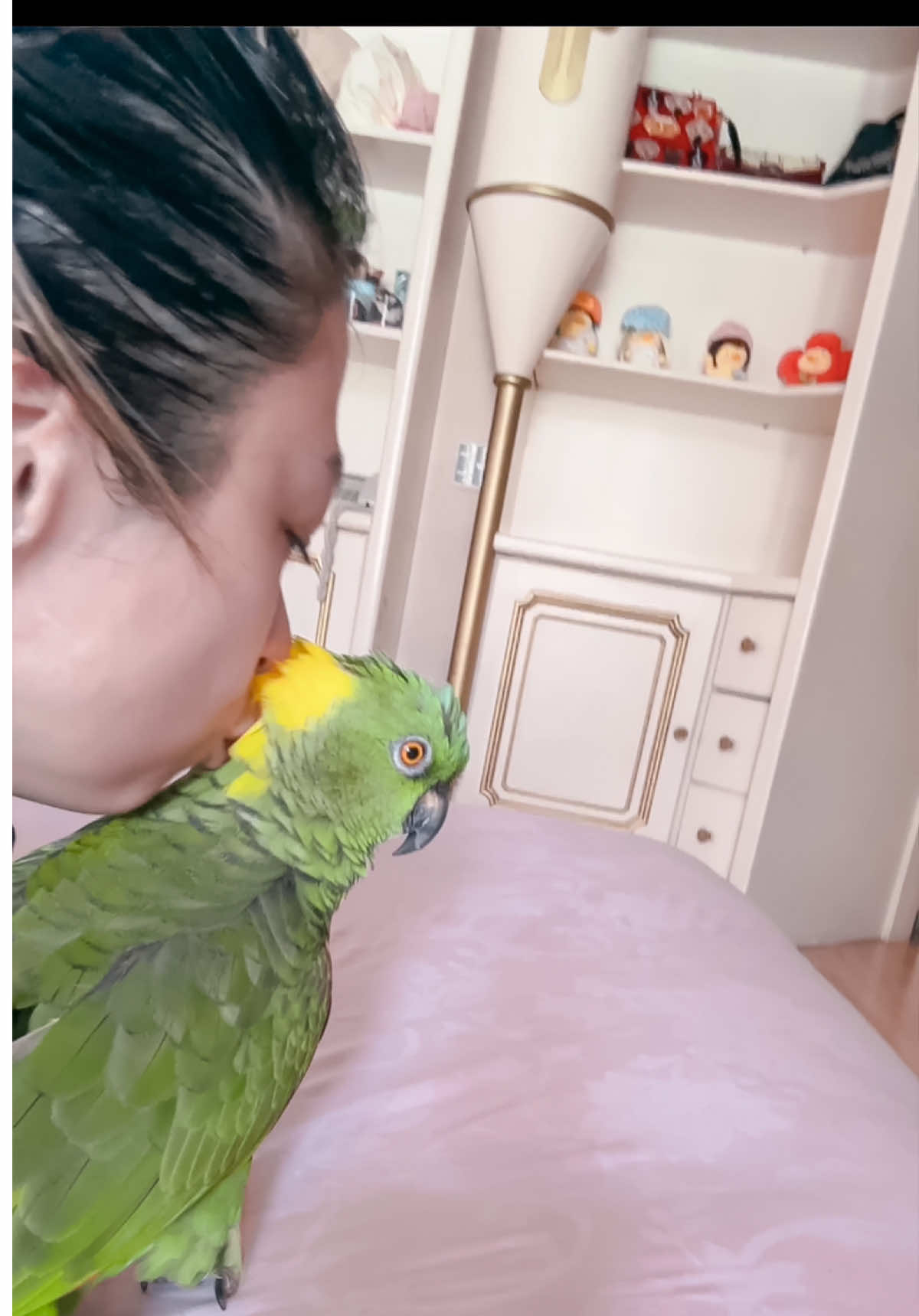 Sasha tuh tahu sopan santun kalau soal poop , selalu tepat sasaran ga pernah nyasar ke kekasur atau orang.. tapi kalau soal gigit, beda banget  😭😭  • • • • • #sasha #pet #talkingparrot #foryou #fyp #fypシ #viral #trending #mood #funny 