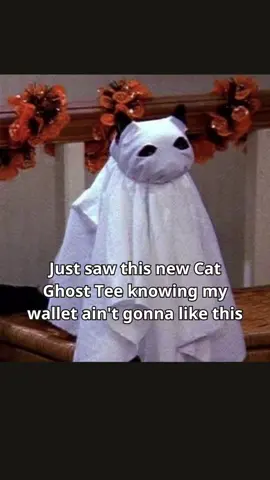 Please check my showcase! #catmeme #catfunny #catsoftiktok 