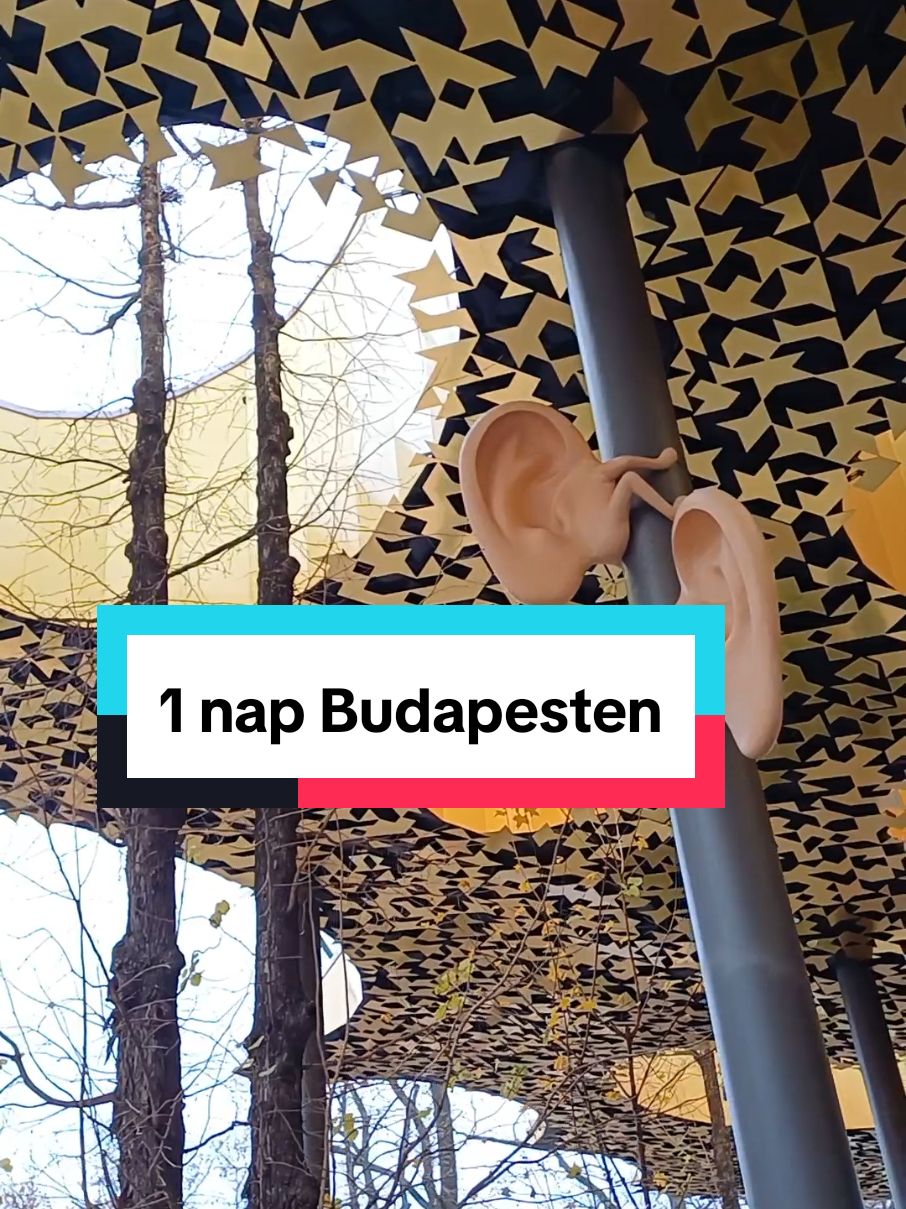 Program és utazós tippekért kövess be❗️😉 Hogy tölts el egy napot Budapesten?! #budapest #hungary #magyar #városliget #musichouse #castle #vajdahunyadcastle #vár #skateboard #korcsolya #newyorkcafe #newyork #cafe #cristhmas #market #belváros #ballonfly #BP #kolodko #statues #oneday #egynap 