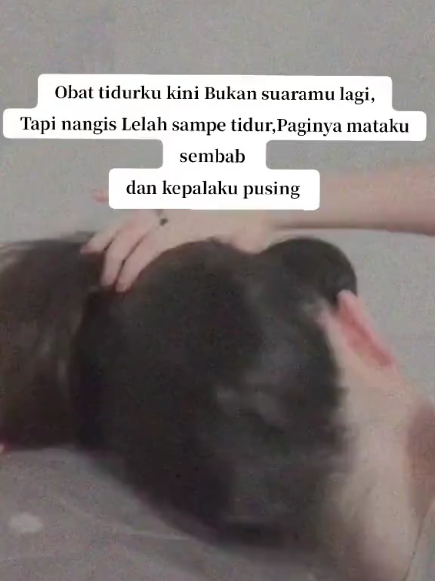 Gw pernah nangis nangis sampe Mampus gara gara tau di selingkuhi, padahal gw jg ketaun selingkuh🤣 