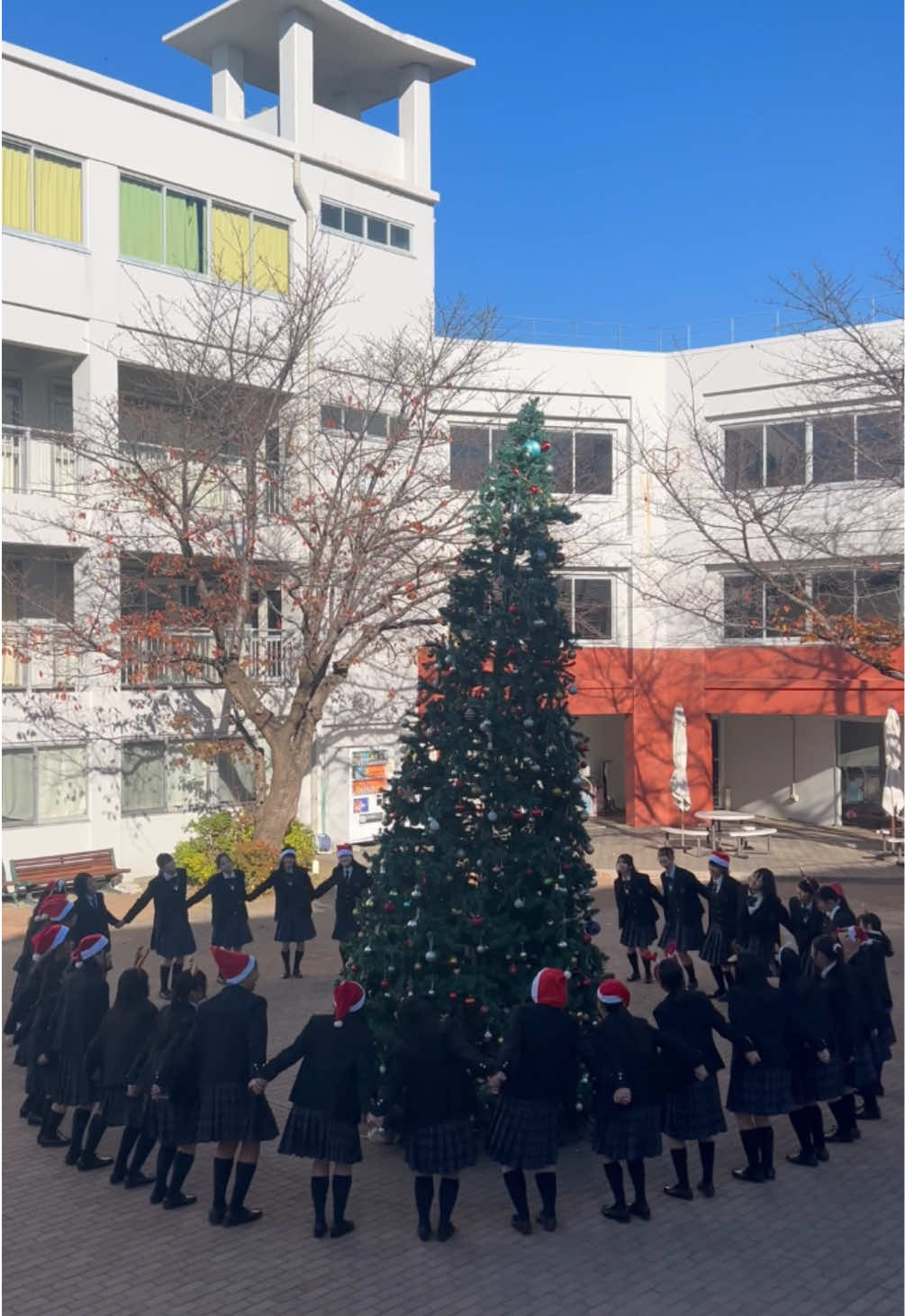 【Christmas Dance🎄💝】 #itsbeginningtolookalotlikechristmas @Michael Bublé  #christmas #dance #michaelbuble #obsidian #yokohama #japan #christmastree #白鵬女子高等学校 #ダンス #クリスマス #クリスマスツリー #横浜 #ダンス部