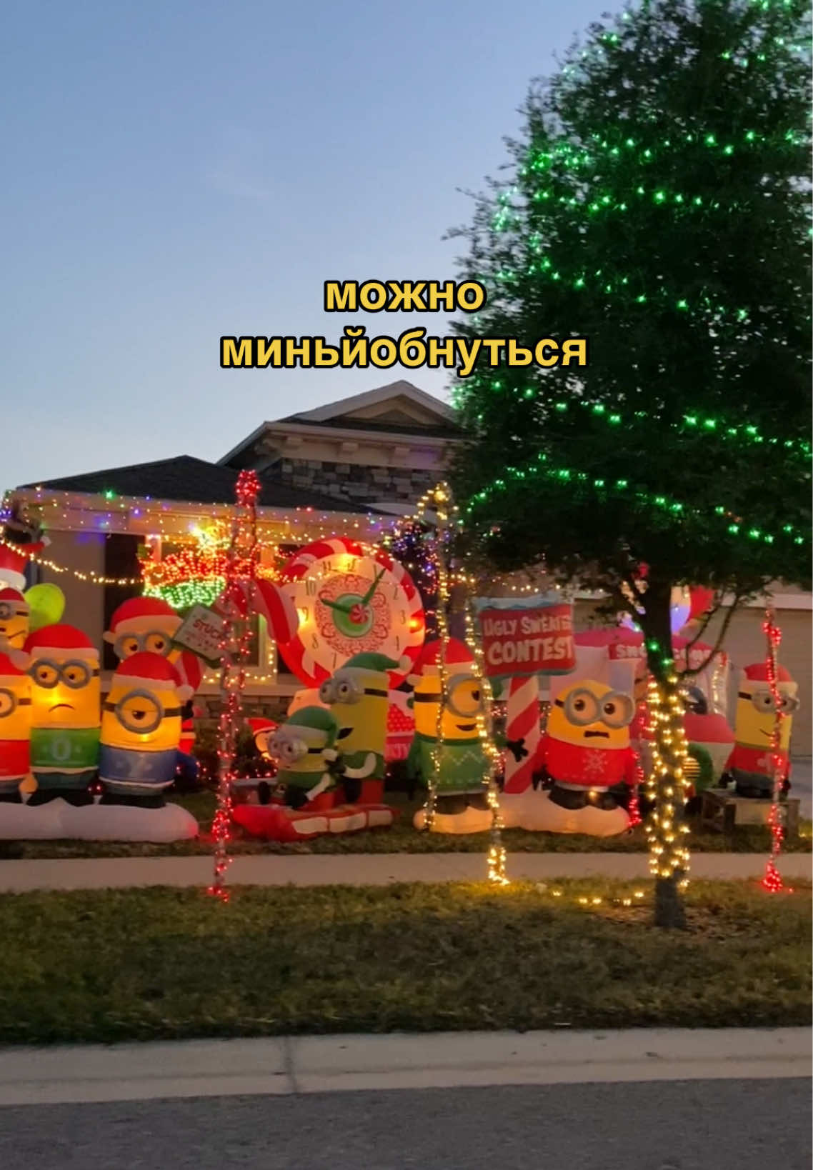 Самый большой фанат миньонов найден🎄 #жизньвамерике #сша 