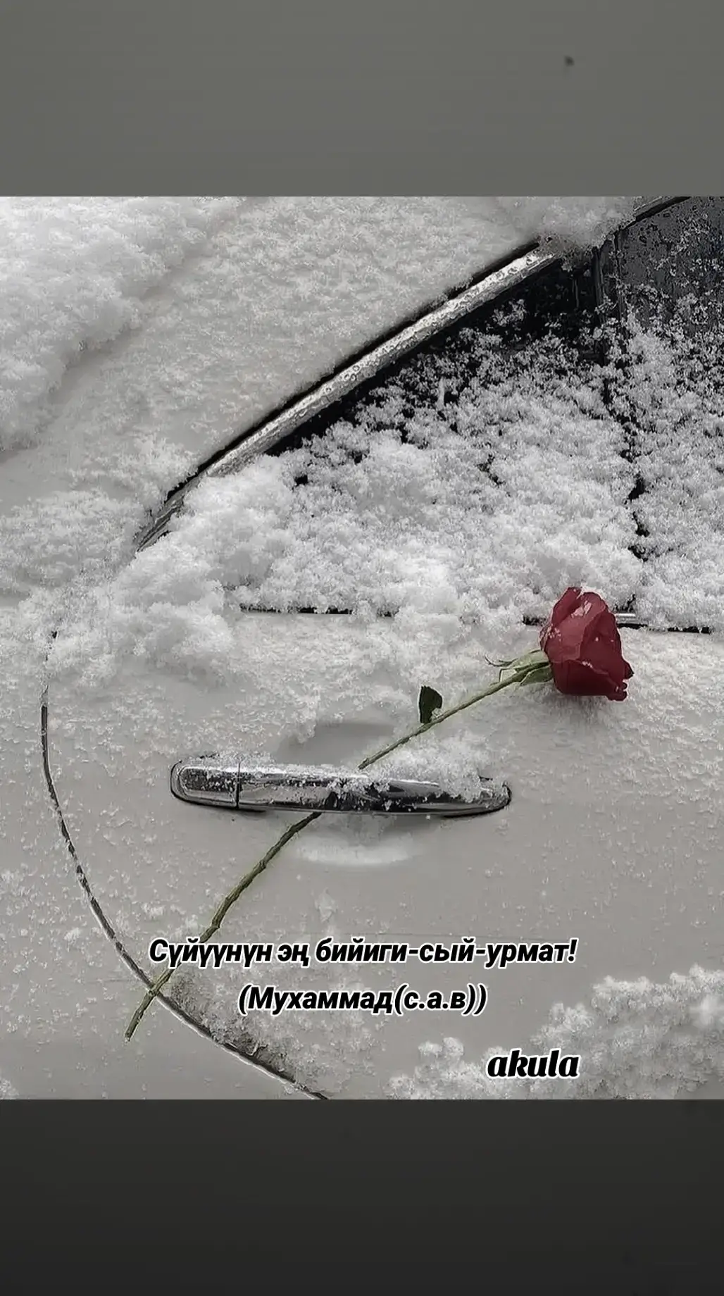 #рекомендации #❤️❤️🌹🌹❤️❤️🌹🌹l #💞 #❤️‍ 