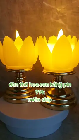 combo 2 đèn hoa sen  xài pin 