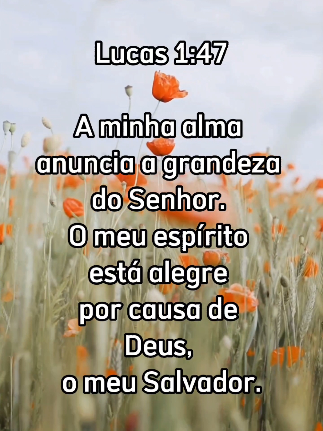 𝕍𝕖𝕣𝕤í𝕔𝕦𝕝𝕠 𝕕𝕠 𝕕𝕚𝕒 ✝️ #Deus #Jesus #status #Gospel #Frasesmotivadoras 