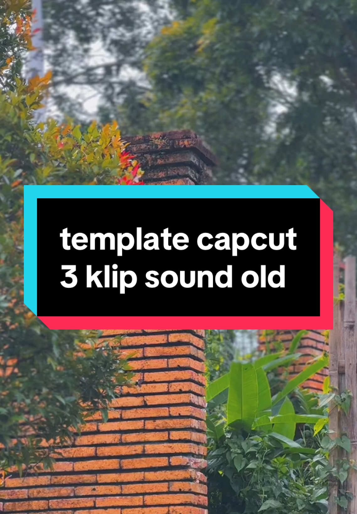 #CapCut Old der🫵🏻🫦🔥 #actemplate #templatecapcut 