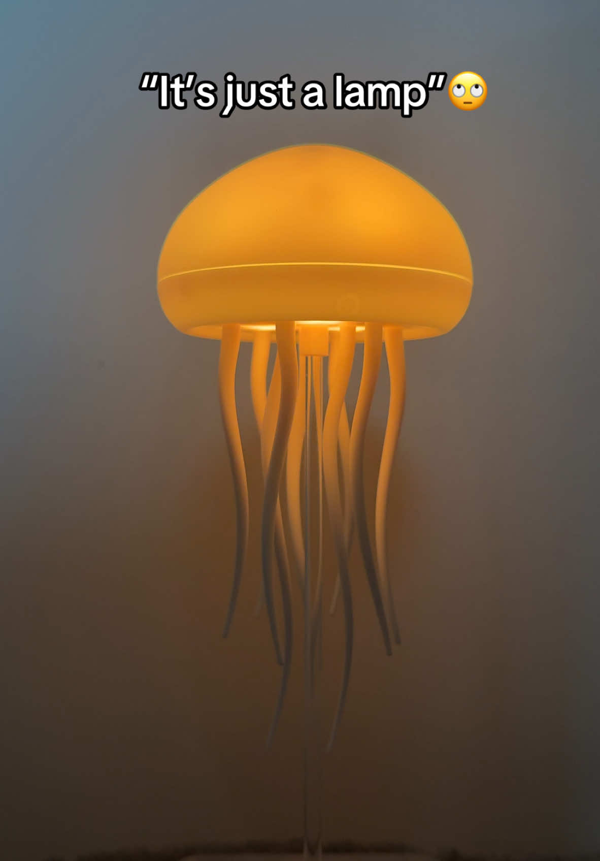 Its more 🪼✨🪄🧚 #forypupage #lamp #JellyfishLamp #viral 