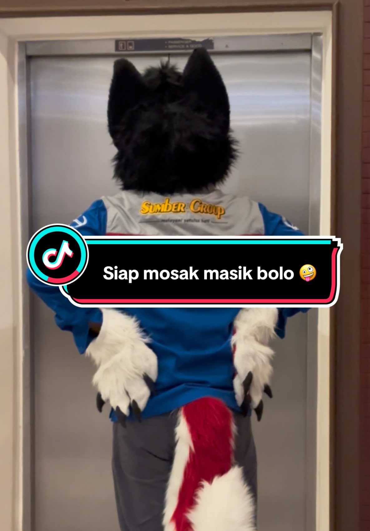 Siap mosak masik bolo 🤪 #furry #furryindonesia #fyp #sugengrahayu #trending 