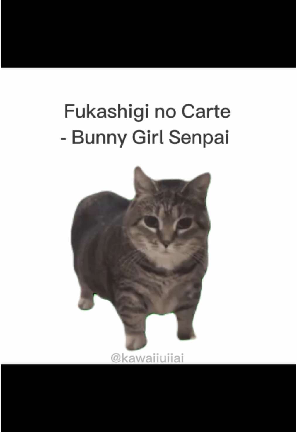 u i u a 🔥🔥🔥 (beat cres to Lord Nekros!) #fukashiginocarte #bunnygirlsenpai #uiiaiouuiiaio #fyp #trending #music #remix #viral #cat #funny #fun #entertain #sing #edit