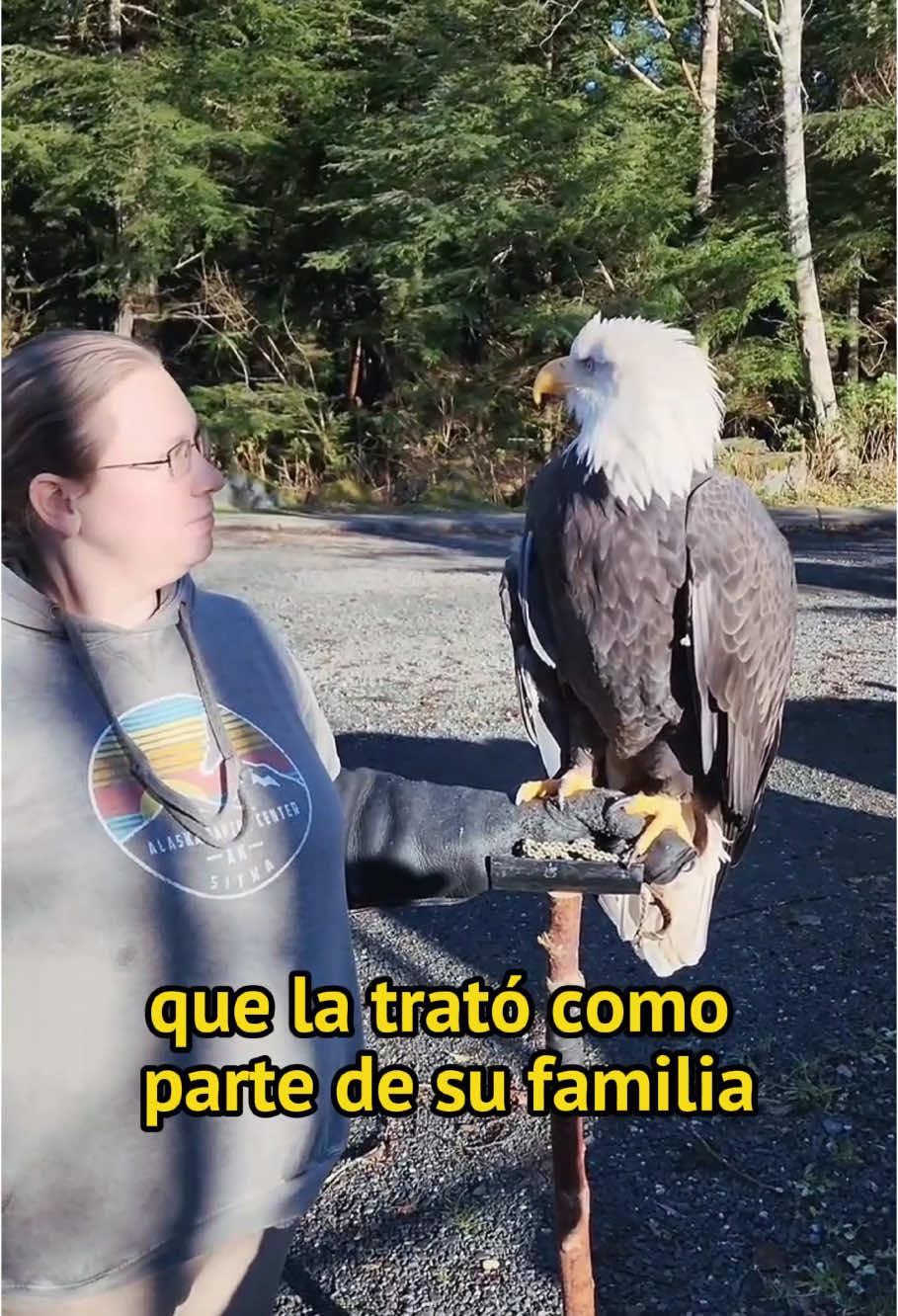 Eagle leaves offspring at convenience station#animals #Foryou #Friendship #Us