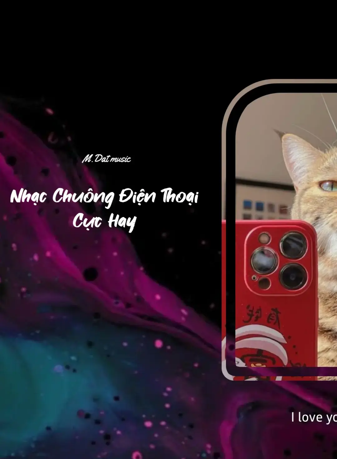 Nhạc chuông iPhone mèo #iphone #iphonecat #nhacchuongiphone #nhacchuong #nhacchuongdienthoai #nhacchuonghay #xhtiktok #xh #viral #fyb #nhachaymoingay #nhachay #music #lyrics #remix #flypシ #xh2024 #xuhuong2024 #master2024bytiktok #minhdatmusic #nhachaymoingay