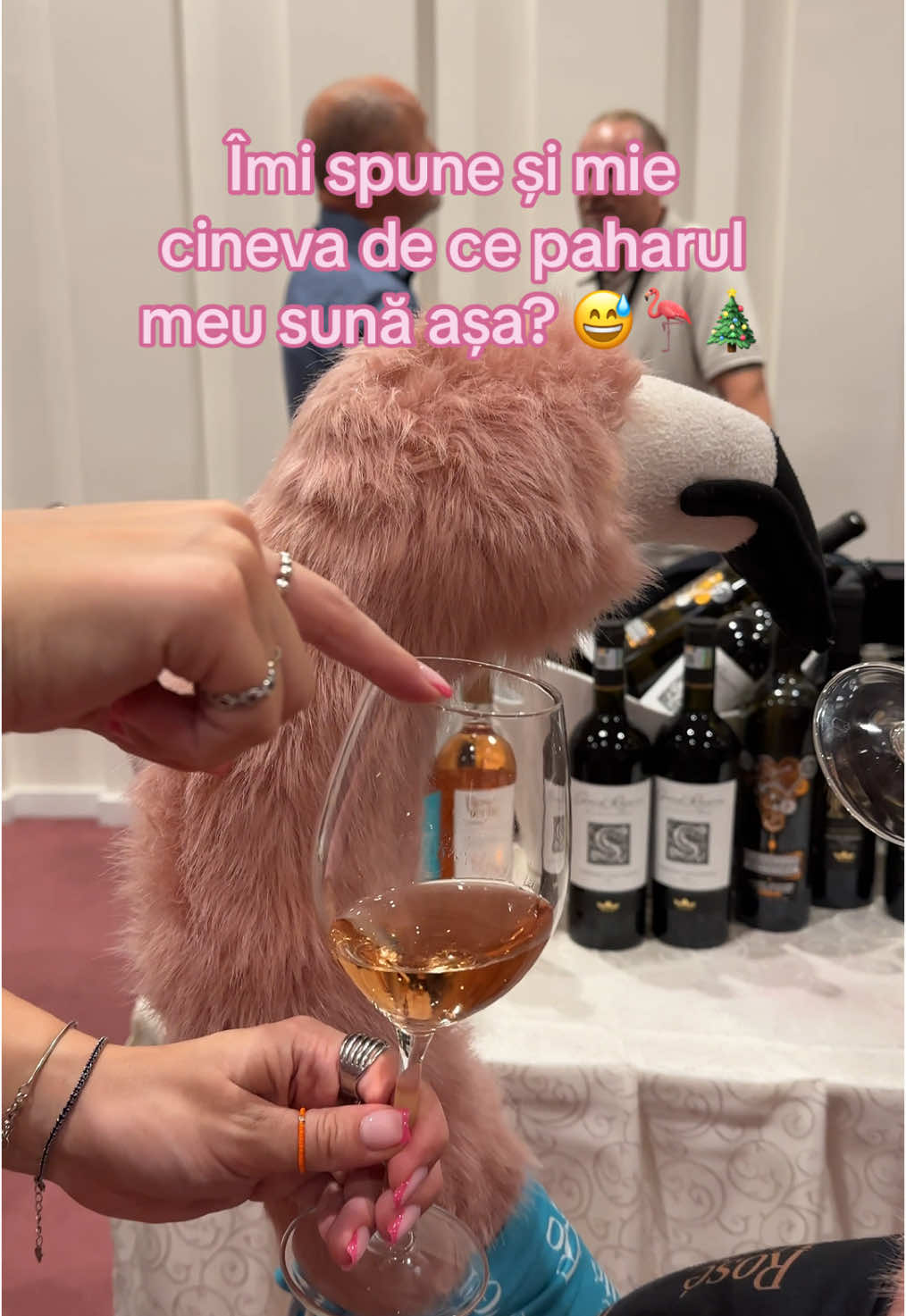 Așa sună Crăciunul en Rosé… 🦩🥂 #365deziledevara #LaVidaEnRose #funny #romania #vinrose #roseverite #beciuldomnesc 