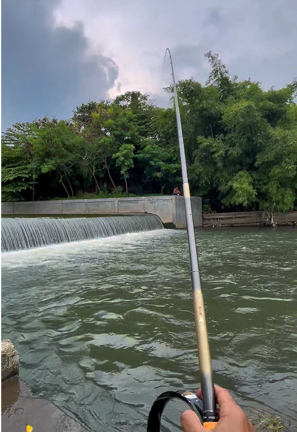 Ter gajah gajah😬#masukberanda #spotmancingjogja #mancing #longlivefishing #mancingmaniajogjakarta #ikanbeles #gajahwong #mancingbeles 