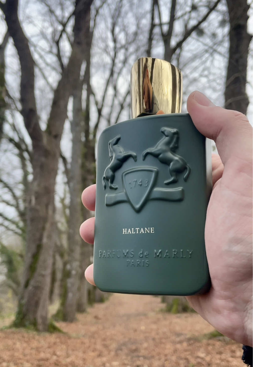 Haltane - Parfums de Marly💼 #haltane #parfumsdemarly #parfumsdemarlyhaltane #forest #fyp @Parfums de Marly 