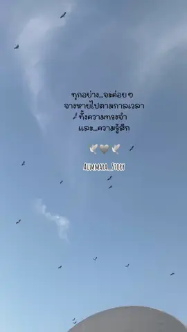 #สตอรี่ #เพลงเพราะ 