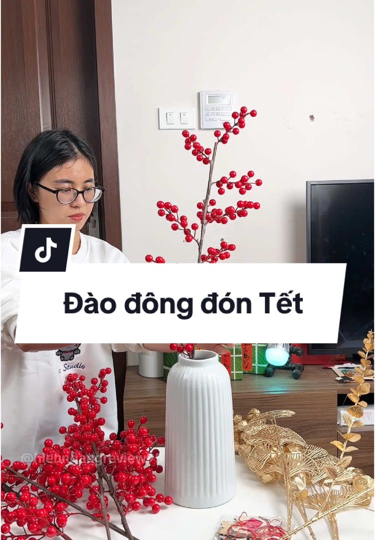 Tết đến rồi cắm đào đông đón Tết thui mọi người ơi #hoadaodong #daodongdo #daodongdo12nhanh #tết #review #hienngangreview✅ #xuhuong #viral 