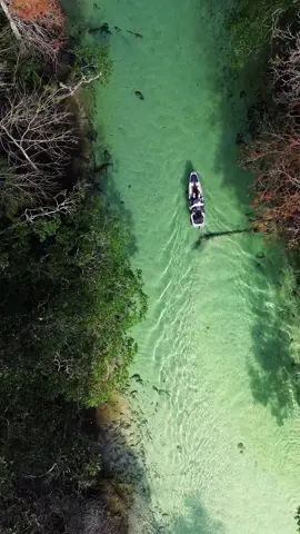 Clearest water I’ve ever seen, look at the fish swimming around! I’ll be down in Florida for the next 2 months, lots of crazy cool content coming - stay tuned! 🌎 • •  • #fishing #florida #kayaking #adventure #brooklynkayakcompany