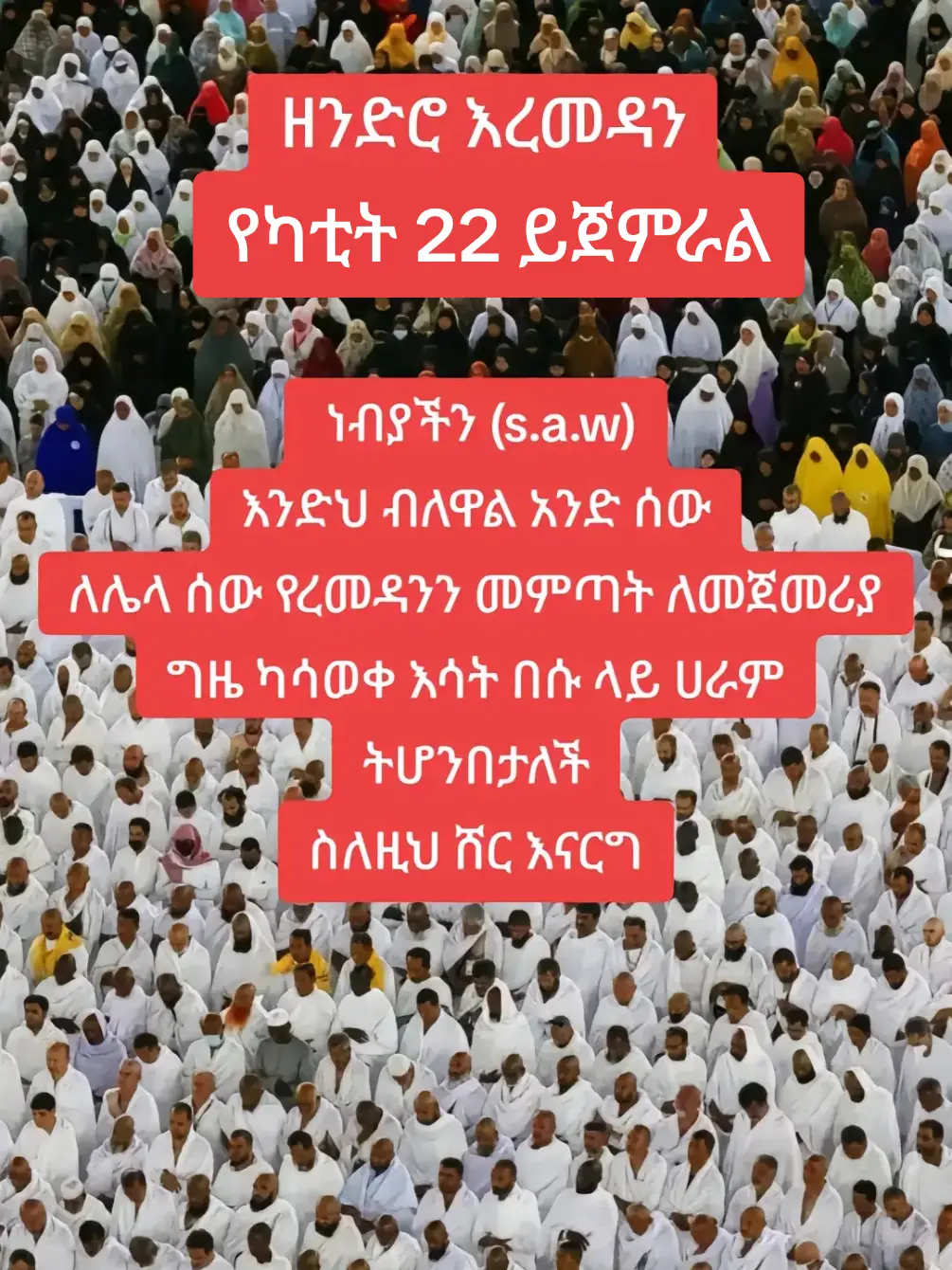 #ኢስላም_ነው_ህይወቴ_አልሀምዱሊላህ #creatorsearchinsights #bibo 