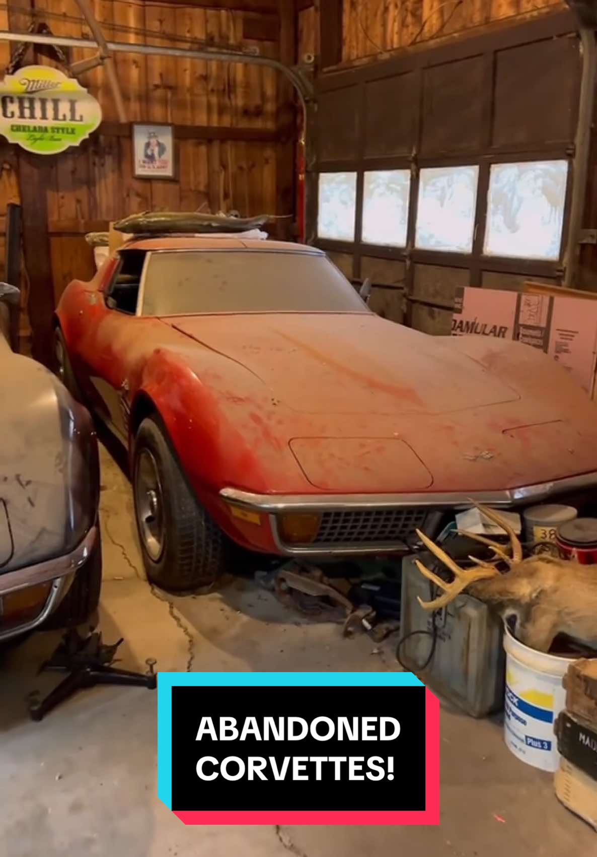 ABANDONED C3 Corvettes with a 427 FOUND! FULL VIDEO IN BIO! #wddetailing #detailing #carwash #carcleaning #satisfying #satisfyingvideos #barnfind #fyp #abandoned #cardetailing #pressurewashing #corvette 