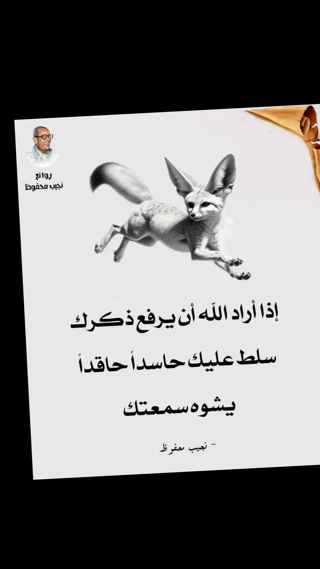 #المدينه 