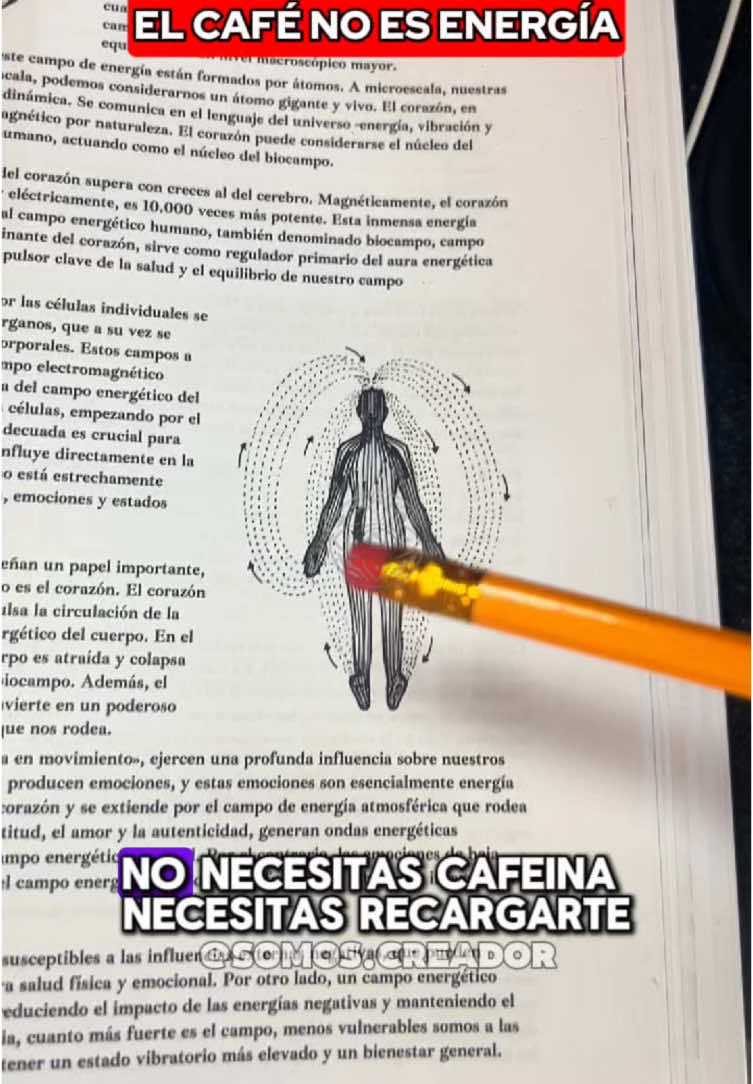 ⚡ ¿Sigues confiando en la cafeína para tu energía? 🚫 El café solo te da un falso impulso, pero la energía real viene del sol, la tierra y alimentos vivos. 🌱 Descubre cómo cargar tu cuerpo como la batería electromagnética que realmente es. 🧠 Tu salud merece lo mejor.  Cafe, no necesitas cafeína, energía electromagnética, cuerpo electromagnético, conexión con la tierra, alimentos electromagnéticos, café es tóxico, luz solar y energía, máquina tecnológica cuerpo, sistema nervioso y café, cuerpo funciona con electricidad. #cafe #cafeina #energianatural #cuerpoelectromagnético #conexiónconlatierra #alimentosvivos #sincafeína #EnergíaReal #energia #luzsolar #saludnatural #sistemanervioso #energíavital #sabiduria #sabiduriatiktok #sabiduriaancestral #despertarespiritual #despertardelaconciencia #despertardeconciencia #despertardeconsciencia #consciencia #conciencia #espiritualidad #espiritual #espiritu #alma #awakening #spritual #spritualawakening #conspiracy #conspiracytiktok #conspiracytherory #conspiracion #tiktok #tiktokviral #viral #viralvideo #tiktokviralvideo #fyy #fyp #parati 