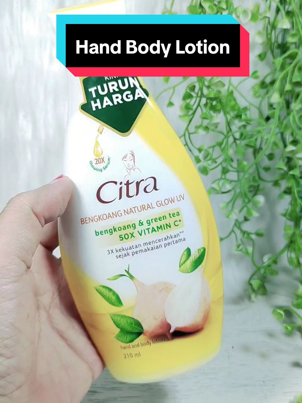 Hand Body Citra Ekstrak Bengkoang dan Green Tea #handbody #citra #wibgajian #cuantanpabatas #yearendsale #affiliate #affiliatemarketing 