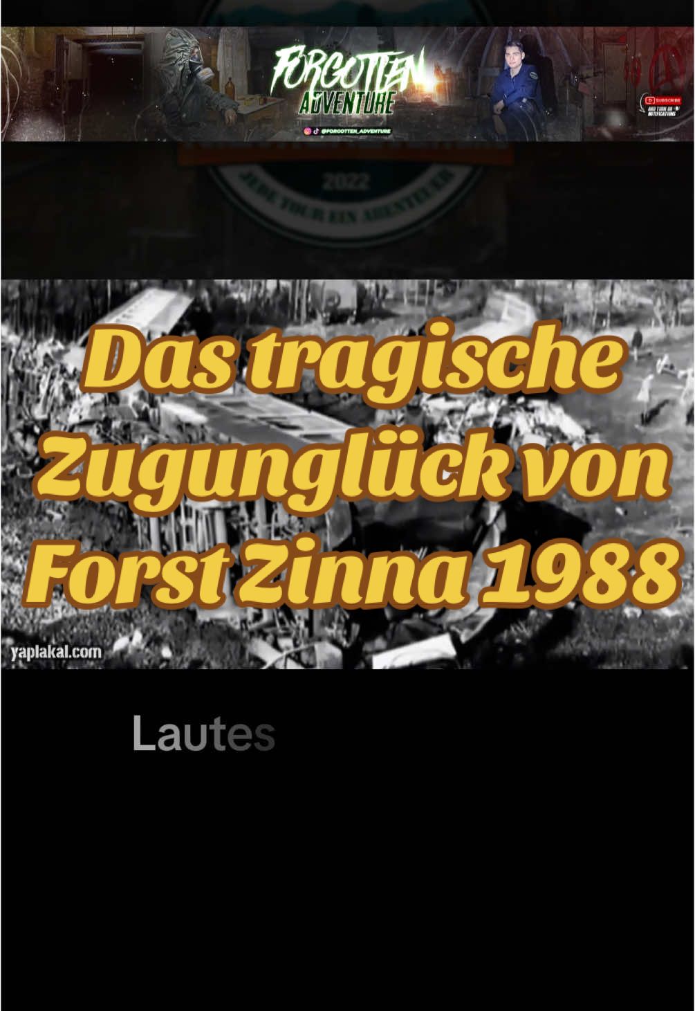 Das Zugunglück von Forst Zinna 1988 #fy #fyp #lostplace #lostplaces #lostplacesgermany #lost #verlassen #verlasseneorte #verlasseneortedeutschland #abandoned #abandonedplaces #geschichte #historie #ddr #unfall #doku #dokumentation 