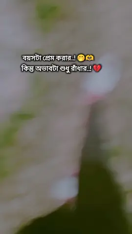 বয়সটা প্রেম করার.! 🤭🫶 কিন্তু অভাবটা শুধু রাঁধার.! 💔  #fyp #foryou 