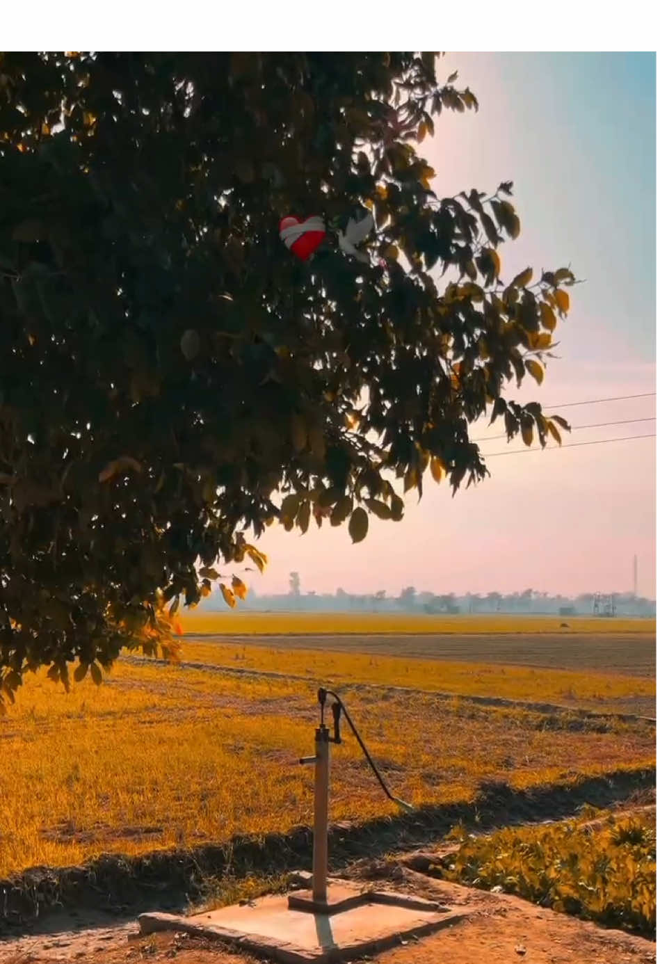 ਬੰਦੇ ਬਦਲ ਜਾਂਦੇ❤️‍🩹🕊️ #reels #punjab #punjabisongs #punjabistatus #sad #sadstatus #sidhumoosewala #reality #feed #pind #sikh #fyp #village 