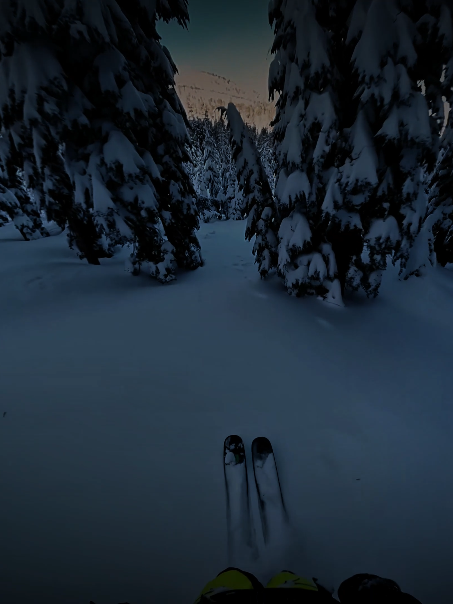 #ski #steepcore #vibessad #skiingvideos #deep #chill