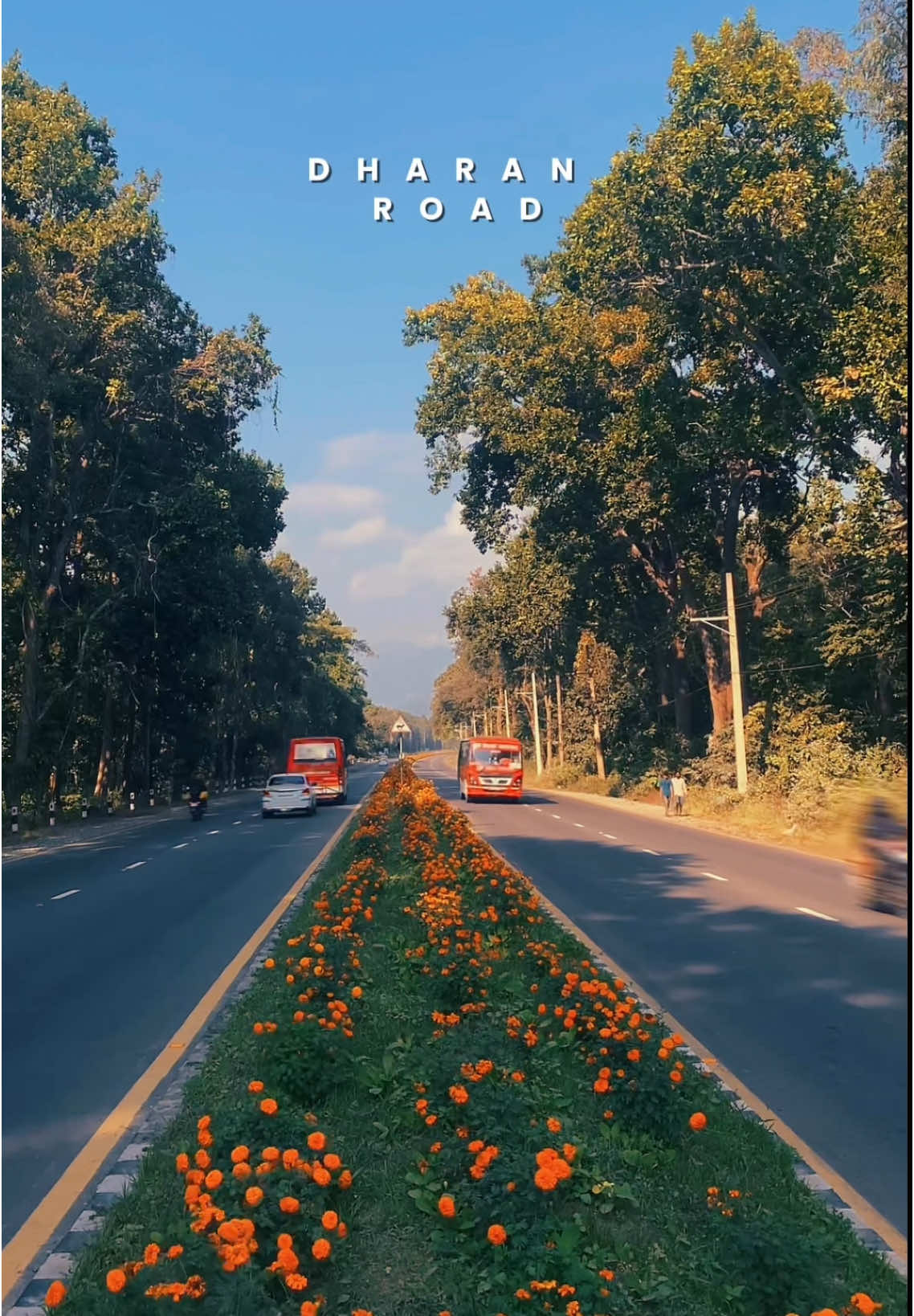 ‘’DHARAN ROAD’’ #travel #dharan #dharanroad #flowers #highway #explore #foryoupage #foryou #roadtrip #tadhathada #yatra