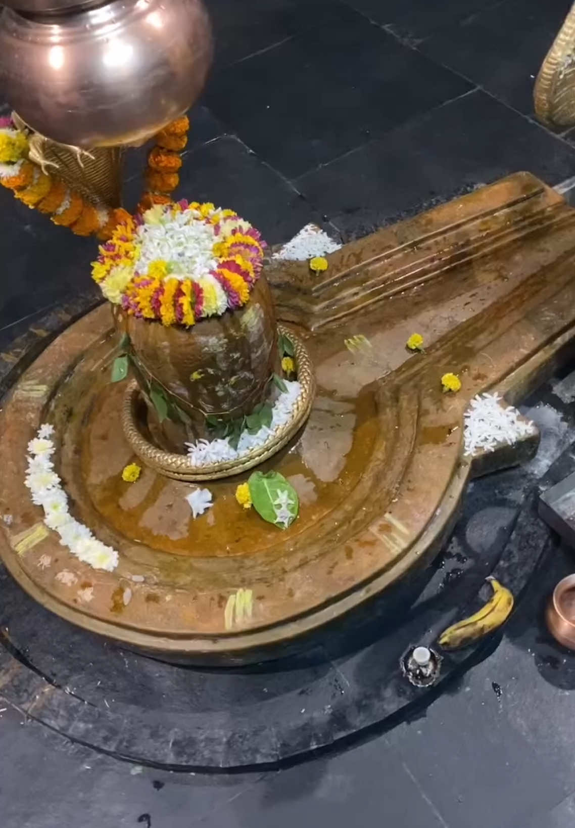 #shiva #sivan #tiruvannamalai #shivan #mahadev #malaysiatamiltiktok #sgtamiltiktok #tamiltiktok #lordshiva 