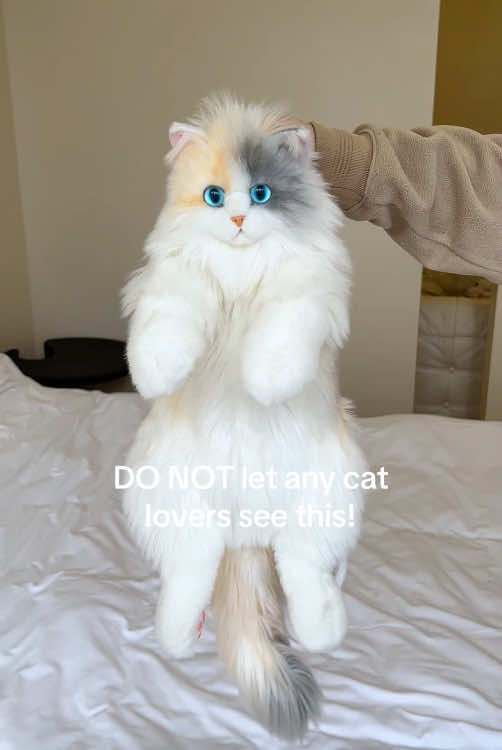 Cat owners get it #catlover #catsoftiktok #giftideas #chongkerbackpack #plushbag #dreambag #fyp 