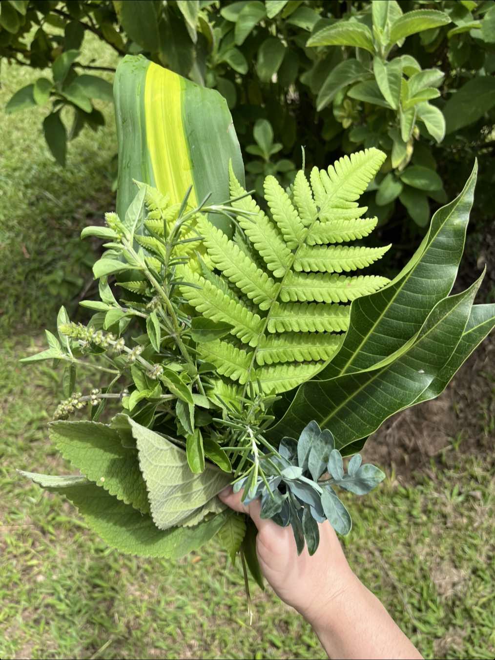 Banho do dia 🌿 Último trabalho do ano (encerramento) Fazer do pescoço para baixo, por conta da presença de ervas quentes. #banhodeervas #umbanda #pretovelho #caboclo #ere #iemanja #ogum #xango #oxossi #exu #baiano #marinheiro #mar #alegria #candomble #fé 