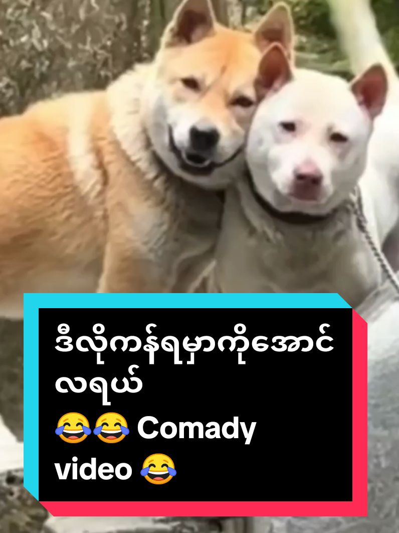 လက်ဝေ့ကျော်လာပိကွ😂😂 Comady video 😂#fyp #videoပိုင်ရှင်ကိုcrdပေးပါတယ်ဗျာ #tiktokviral #viral_video #comedyvideo #tiktok #happy #funnypart2😂😂😂😂😂 #funny #funnyvideos #viwes #paratiiiiiiiiiiiiiiiiiiiiiiiiiiiiiii #viwerတေရှယ်ကျ😔👍 #videoပိုင်ရှင်ကိုအာပေးပါ 